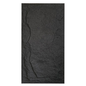 MS01-space black