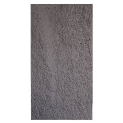 SS04