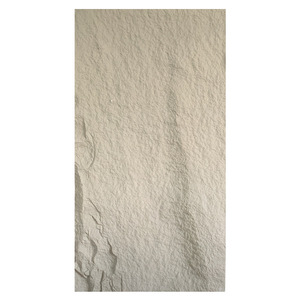 SS05