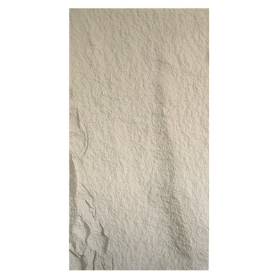 SS05